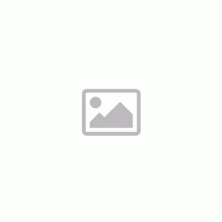 Intelligens RGBW mennyezeti lámpa, Bluetooth hangszóróval 40cm