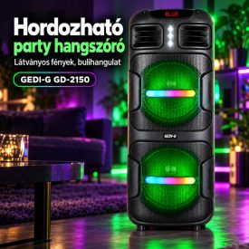   DIPAOER DP-2613 hordozható party hangszóró, 2 × 6,5″ hangszóróval és RGB világítással